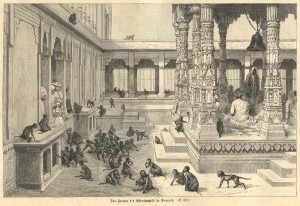 monkeytemple1894
